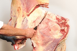 Meat Cut Spec Step 6